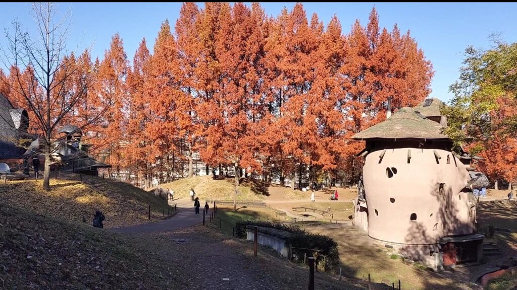 あけぼの子どもの森公園